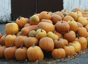 Get Lost—in Corn Mazes, Haunted Houses, and Other Fun Halloween and Fall Activities