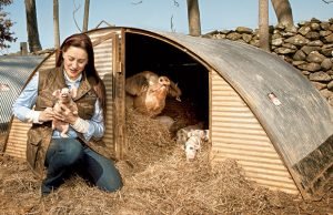 Striving to Keep Organic Farming Sustainable