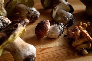 Is Urban Foraging Safe in Washington?