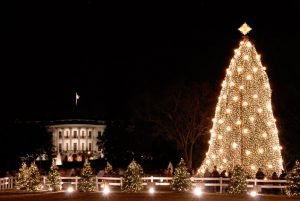 How to Get Tickets for the 100th National Christmas Tree Lighting