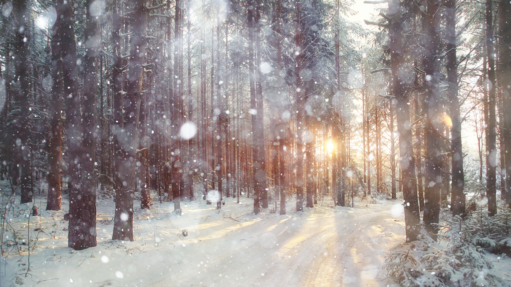 Photograph via iStock.