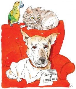 Everlasting Love: Planning for Your Pet After You’re Gone