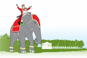 Anatomy: How to Book an Elephant for an Indian Wedding