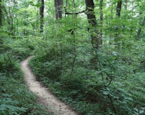 Social Distancing: 7 Spots Around DC Where You Can Go to Be Alone