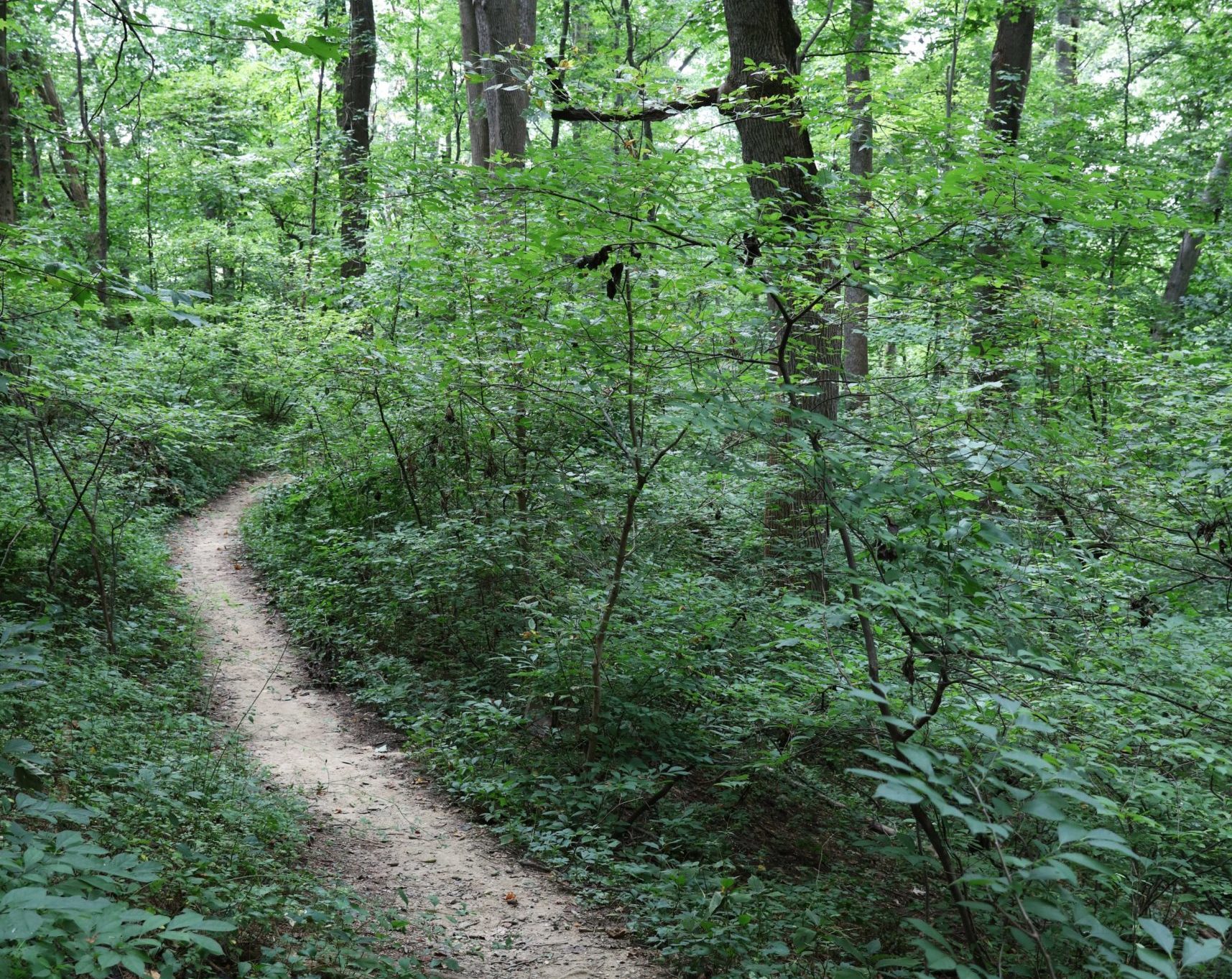 Arlington hiking trails. DC hiking. DC biking.