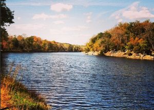 Potomac River Gets a C for Overall Health