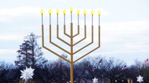 Turkeyed Out: Free Thanksgiving Events Beyond Food