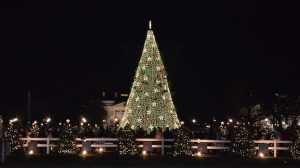 Glow Up: Christmas Tree and Menorah Lightings Around DC