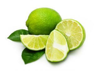 Lime-Pocalypse, Breakfast on the Titanic, and Wax-Moth Mousse 101: Eating & Reading