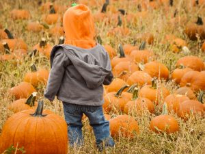 Fun Family Activities This Fall