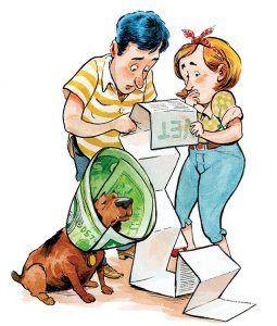 The Crowd-Funding Craze Hits the World of Pet Surgery