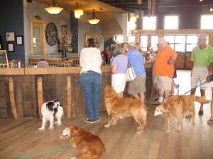 Destination Dog: Barrel Oak Winery