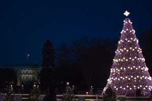 The Best Christmas Lights Around Washington (Photos)