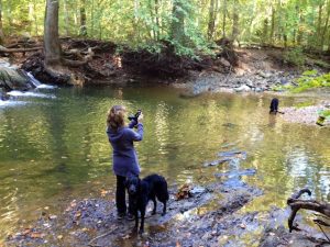 Destination Dog: Scott’s Run Nature Preserve