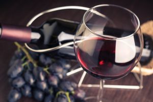 Where to Go With Your Dog: Notaviva Vineyards