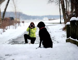 How to Take Really Cute Pet Photos