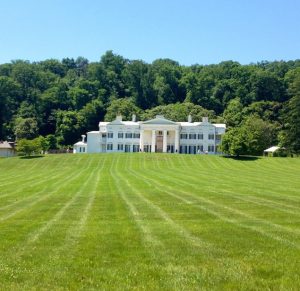 Where to Go with Your Dog This Weekend: Morven Park