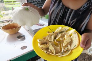 In-Season Recipe: Roasted Pattypan Squash