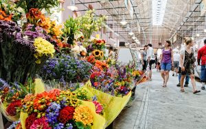 Neighborhood Guide: Capitol Hill