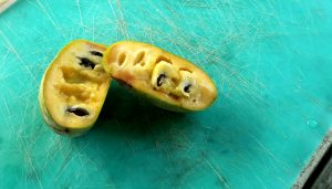 In-Season Recipe: Pawpaw Smoothie