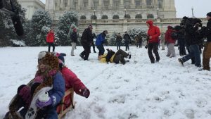 Sledding Down Capitol Hill Is Totally Legal