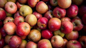 The Best Apples to Use to Make Cider at Home
