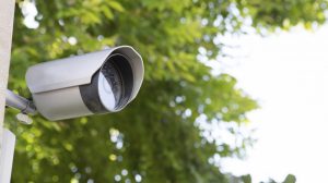 Someone Made an Automated Twitter Account That Spits Out Images From DC’s Traffic Cameras