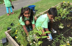 Can I Send My Kids to Summer Camp? The Coronavirus Ethicist Has the Answer.