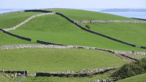 There’s a Lot More to Irish Heritage in DC This Year Than St. Patrick’s Day