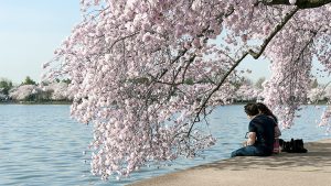 Your Weekend Bucket List for Washington, DC