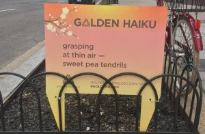 SCANDAL: Those Haiku Displayed All Around Downtown DC…Aren’t Haiku