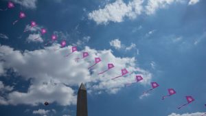 Things To Do in DC This Weekend March 31-April 3: Kites, Philly Cheesesteaks, and Sumo Wrestling