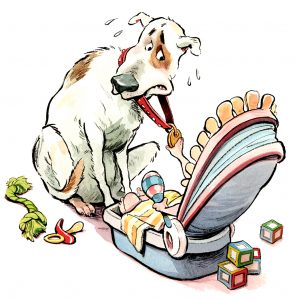 How to Get Your Pet Ready for Your Baby’s Arrival