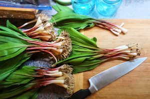 Everything You Need to Know About Ramps
