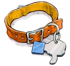 Should You Mourn Your Pet on Social Media?