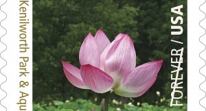 Alexandria Photographer’s Picture Chosen for Stamp Honoring National Park Service