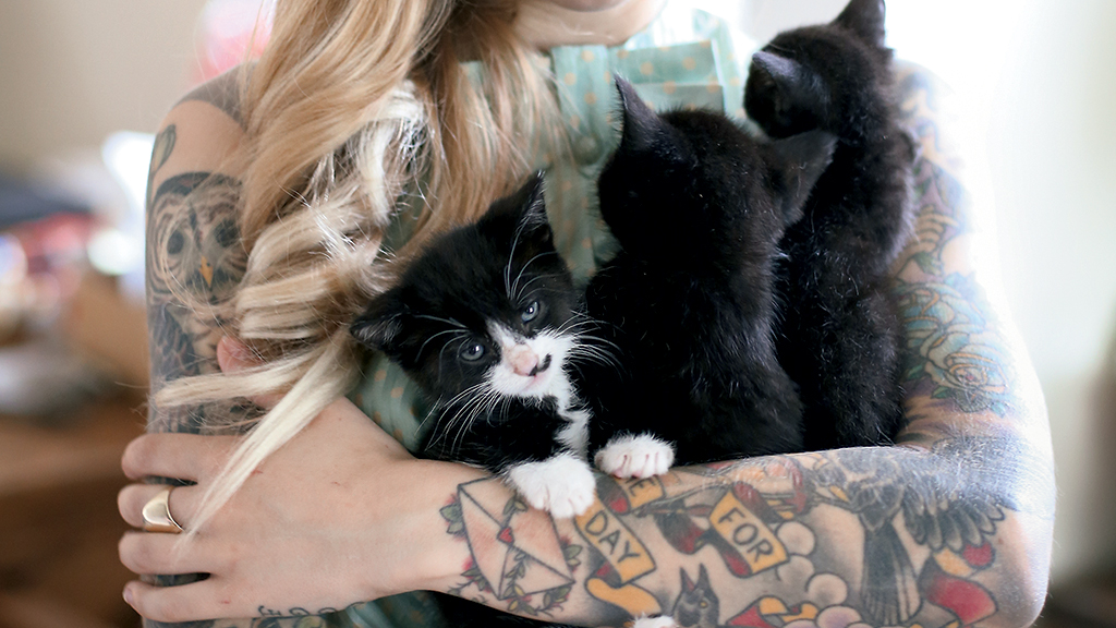 On Instagram–where she has more than 100,000 followers–Shaw is @kittenxlady.