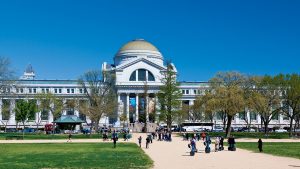 What Law Crisis? Summer Associates in DC Still Get a Sweet Deal