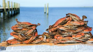 The 11 Best Crab Houses to Eat at Around the Chesapeake Bay