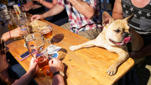 How to Celebrate National Dog Day Around DC