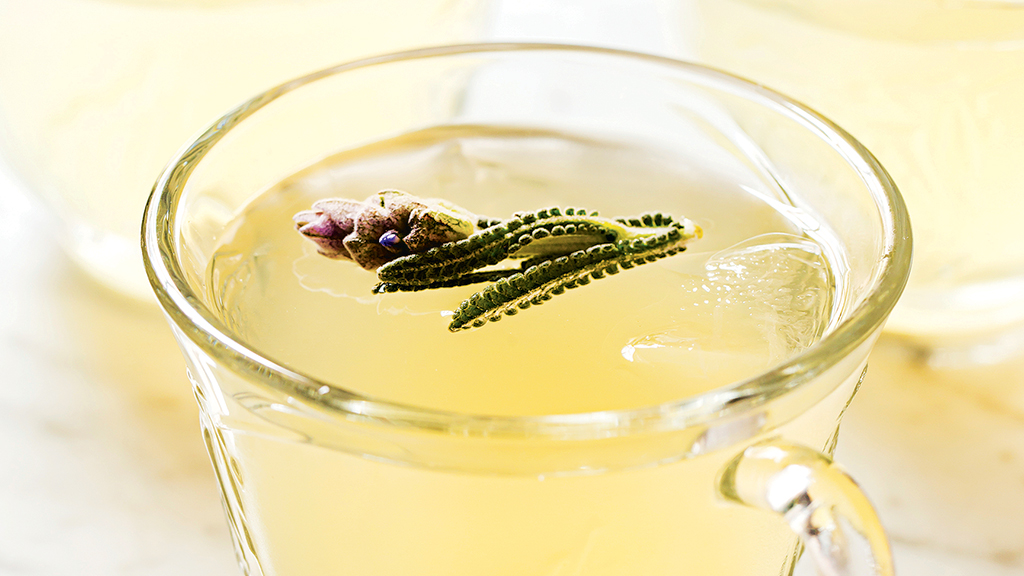 Photograph by Scott Suchman.