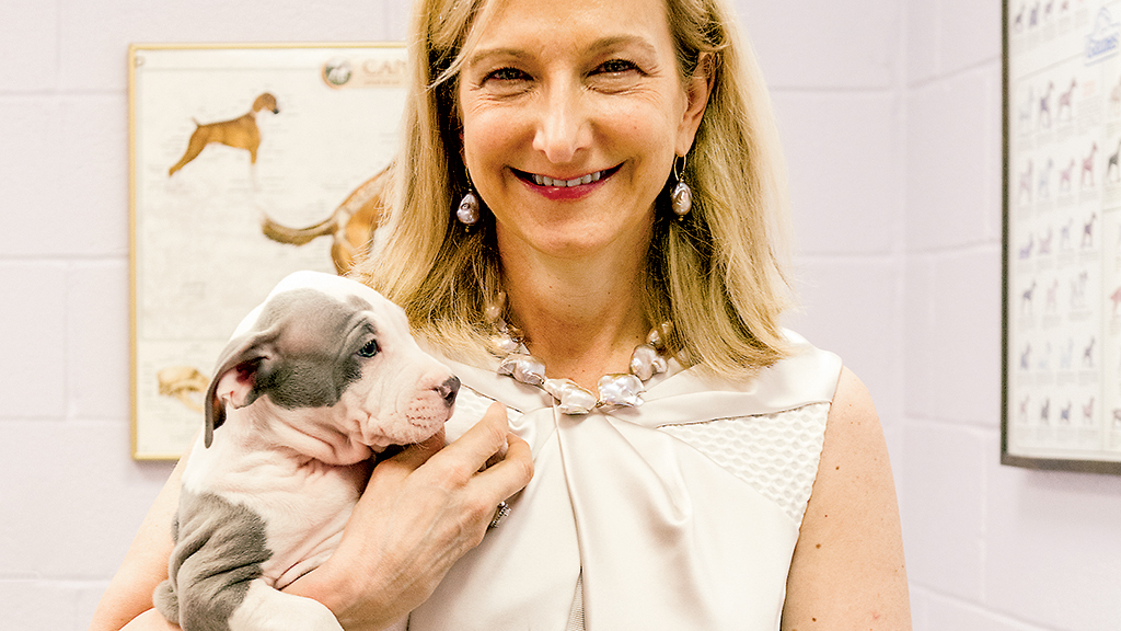 DC’s animal group, led by Lisa LaFontaine, is now the most comprehensive in the country. Photograph by Andrew Propp.