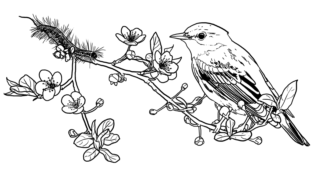 Illustration by Claire McCracken. Arrow icon by Home Studio Icons/Noun Project.