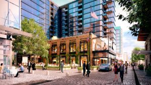 Trees Intended for the 9/11 Memorial Coming to The Wharf