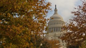 These Federal Employees Say They’re Terrified of the Trump Administration