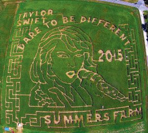 A Baltimore Orioles Corn Maze Has Replaced Taylor Swift’s Face