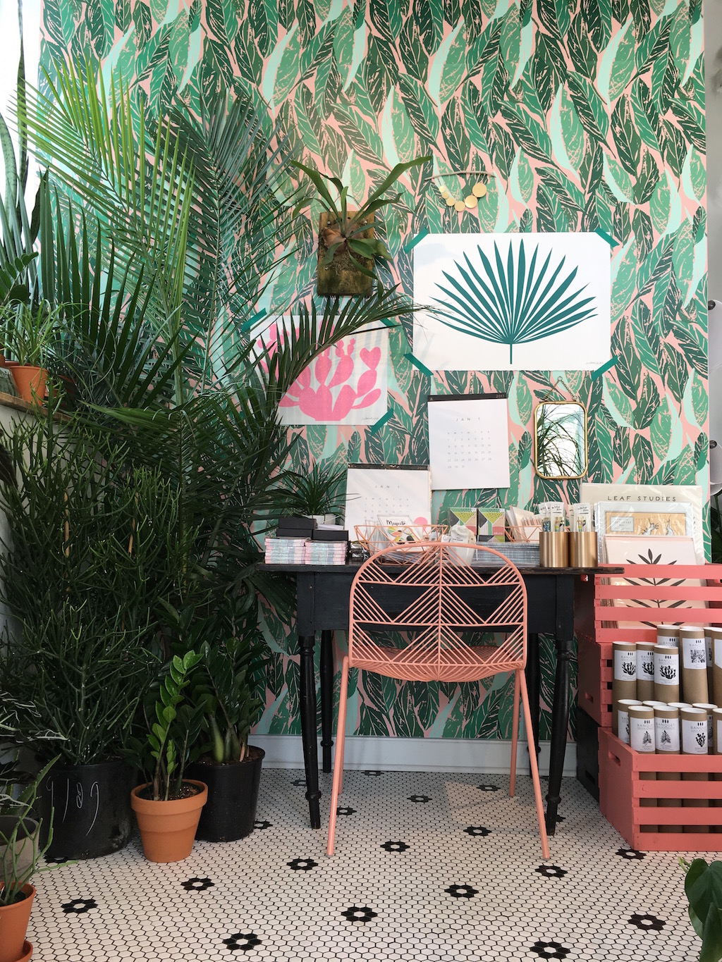 Little Leaf. Photographs courtesy Amanda McClements.