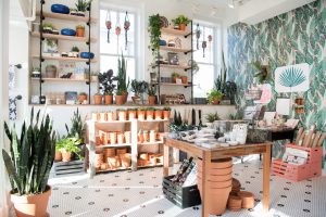 Take a Look Inside Little Leaf, Salt & Sundry’s Insta-Perfect Sister Store