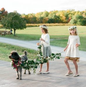 How to Train Your Dog to Walk Down the Aisle At Your Wedding