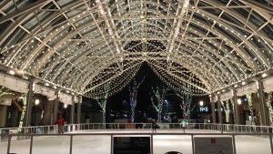 A Surprisingly Bitter Battle Over Paid Parking Comes to Reston